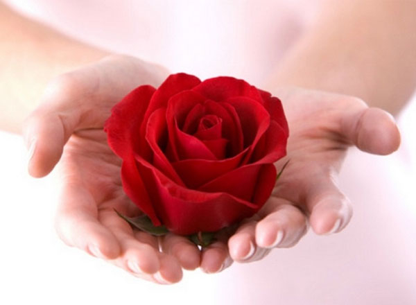 Ý nghĩa của các bông hoa hồng trong ngày Valentine