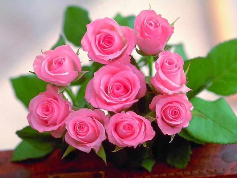 Quy luật tặng hoa hồng trong ngày Valentine