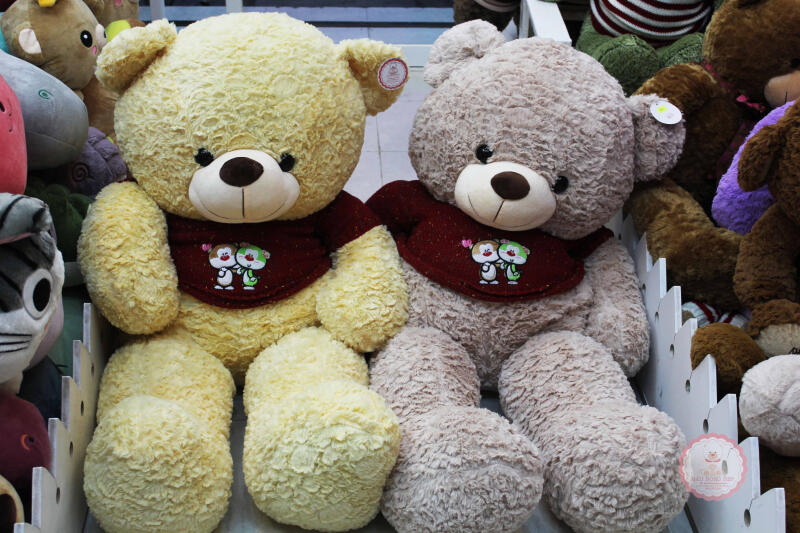 Những chú gấu bông xinh xắn