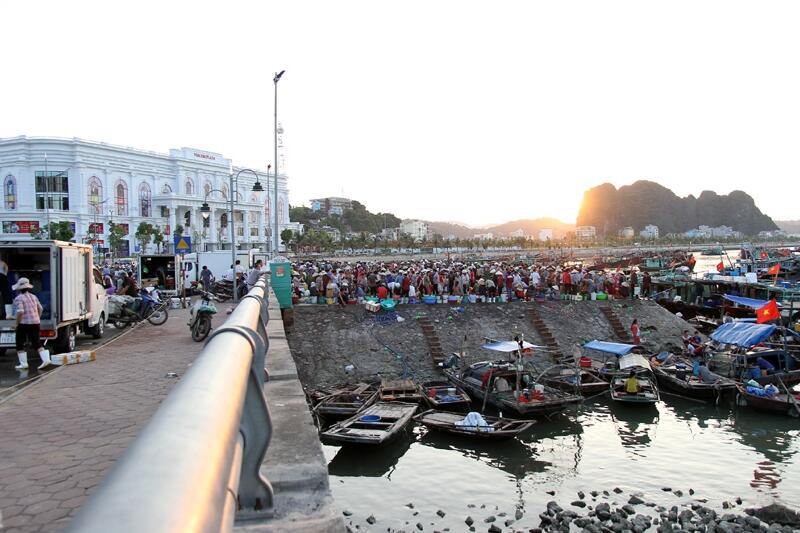 Chợ cá cảng Hạ Long