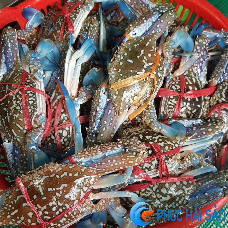 Vựa hải sản Quảng Ninh