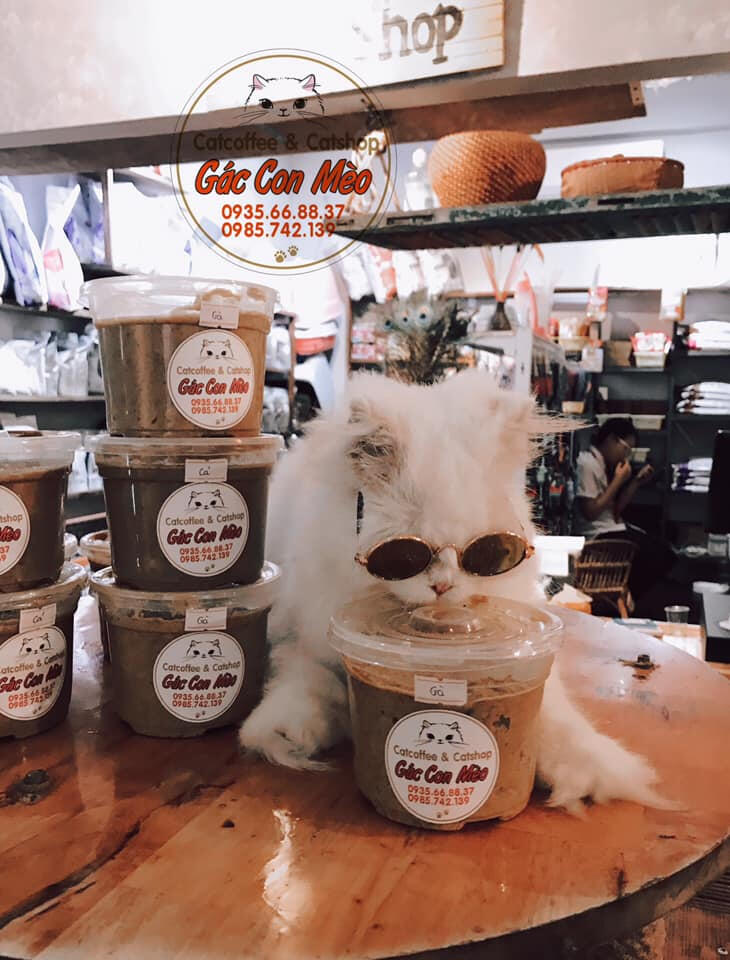 Gác Con Mèo Coffee & Catshop