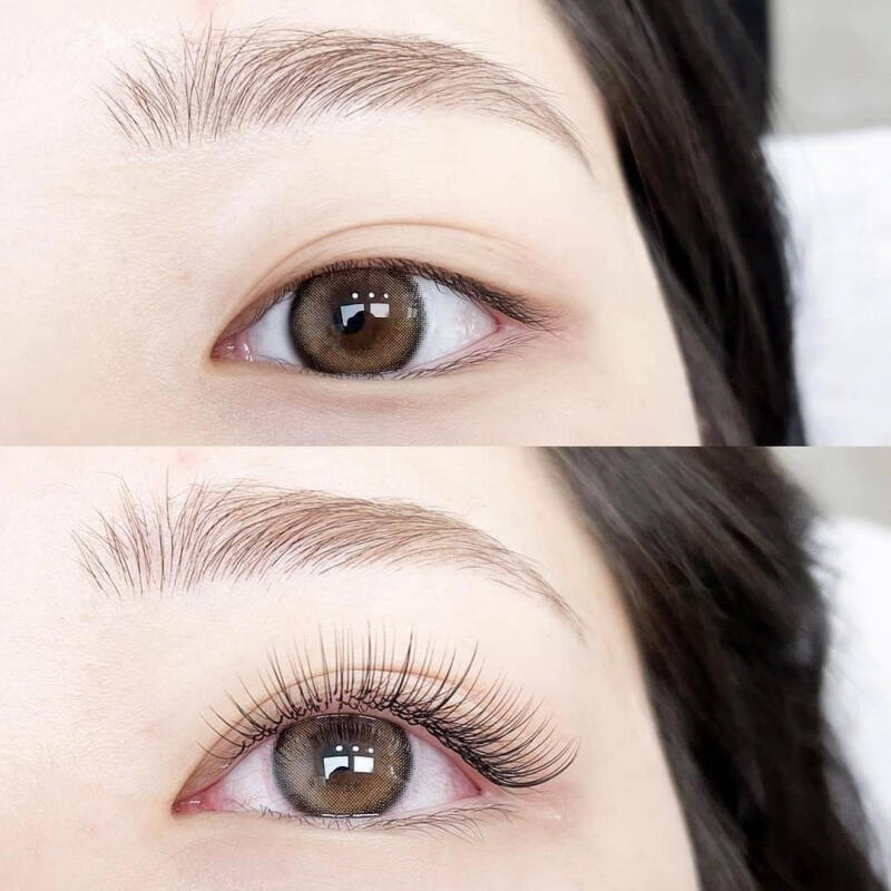 Ngát Đặng Nối Mi