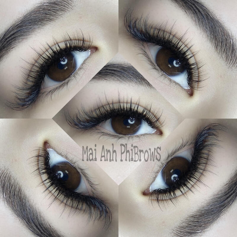 Mai Anh Phibrows