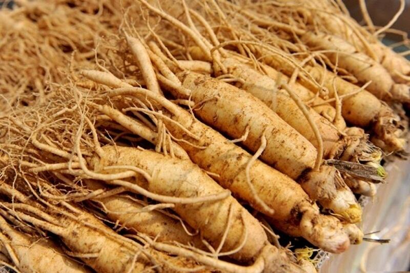 Nhân sâm Hàn Quốc