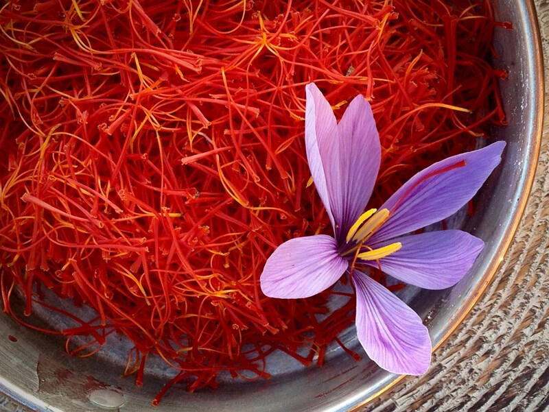 Nhụy hoa nghệ tây Saffron