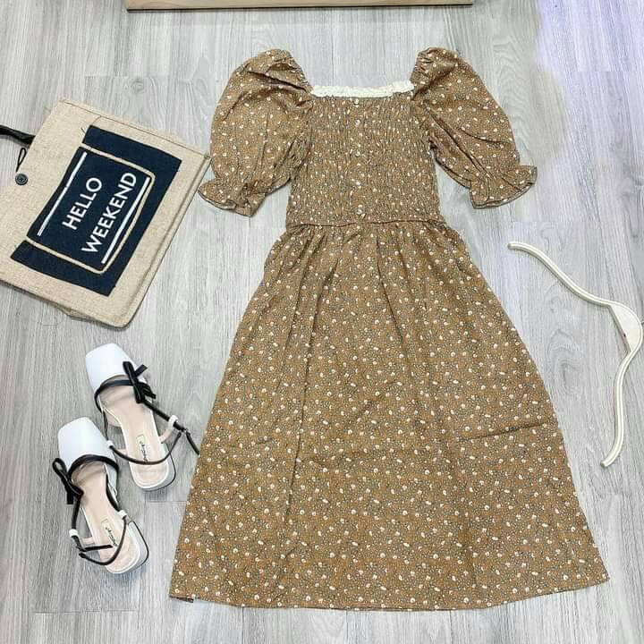 Cáo Shop Thái Bình