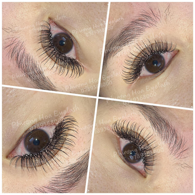 Phương Hoa's Eyelash