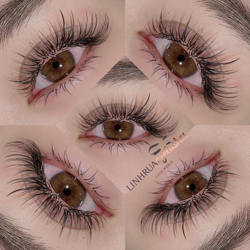 TRUE BEAUTY (Linh Rua Eyelash)