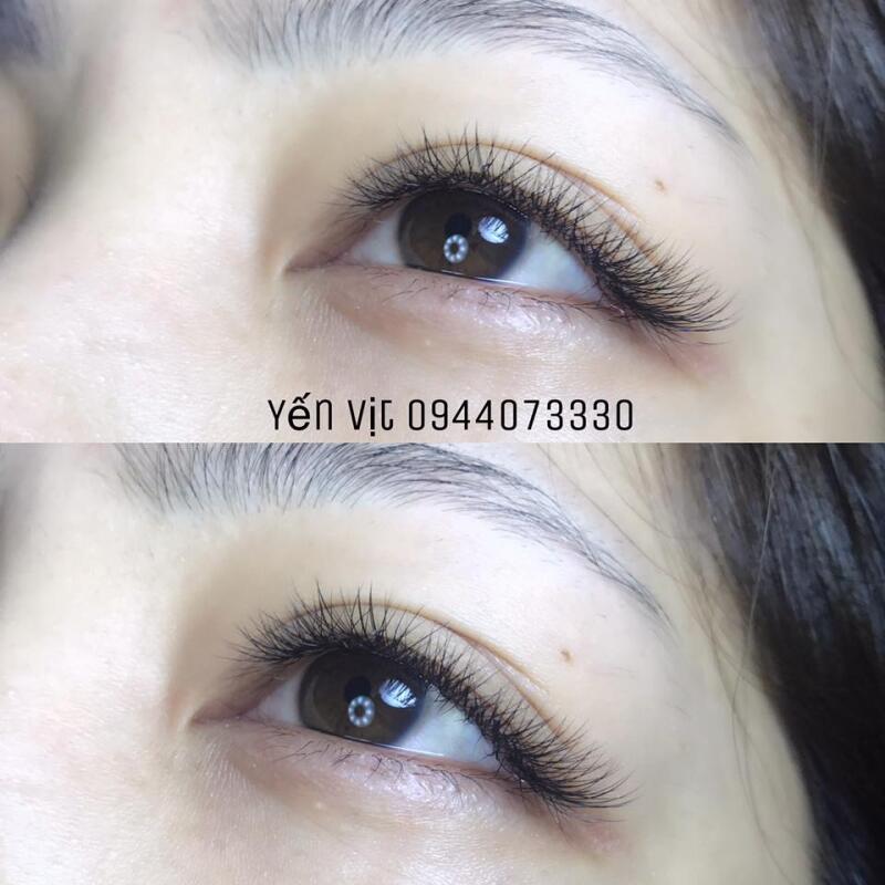 Yến Vịt Nối Mi