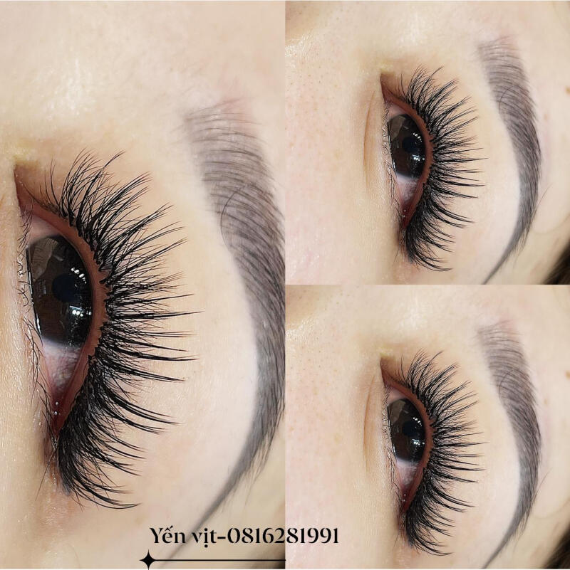 Yến Vịt Nối Mi