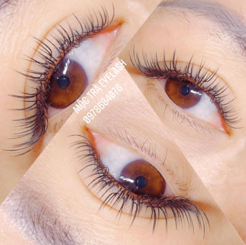 Mộc Trà Eyelash