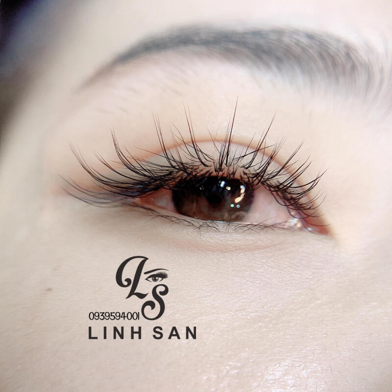 Linh San Eyebrows & Eyelash
