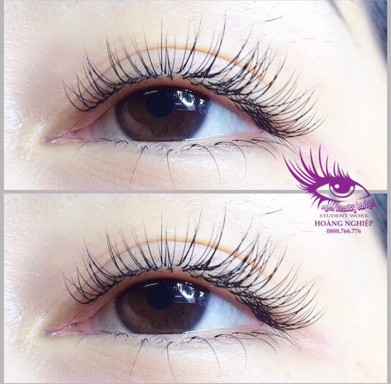 Hoàng Nghiệp Nối Mi