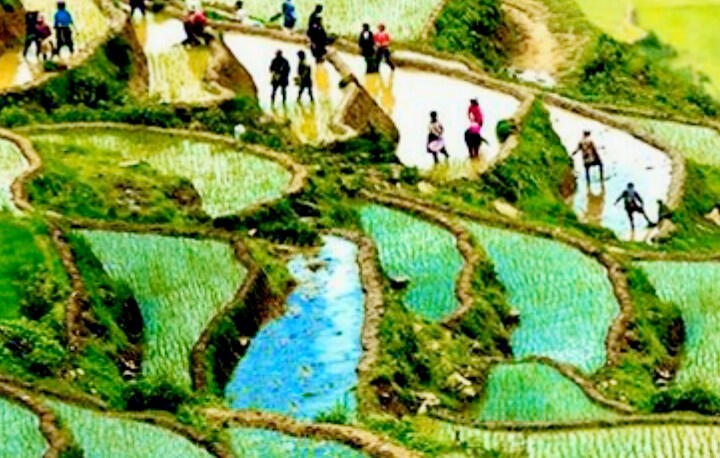 Tả Phìn, ngôi làng của người Dao Đỏ