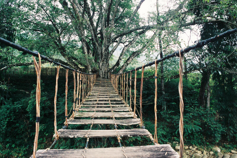 Cầu mây - Tả Van