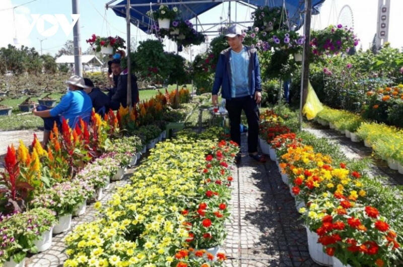 Chợ hoa Tết Nhâm Dần 2022