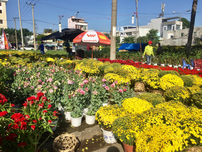 Chợ hoa Tết Nhâm Dần 2022