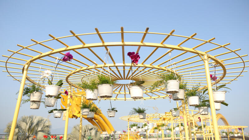 Đường hoa Đà Nẵng 2022