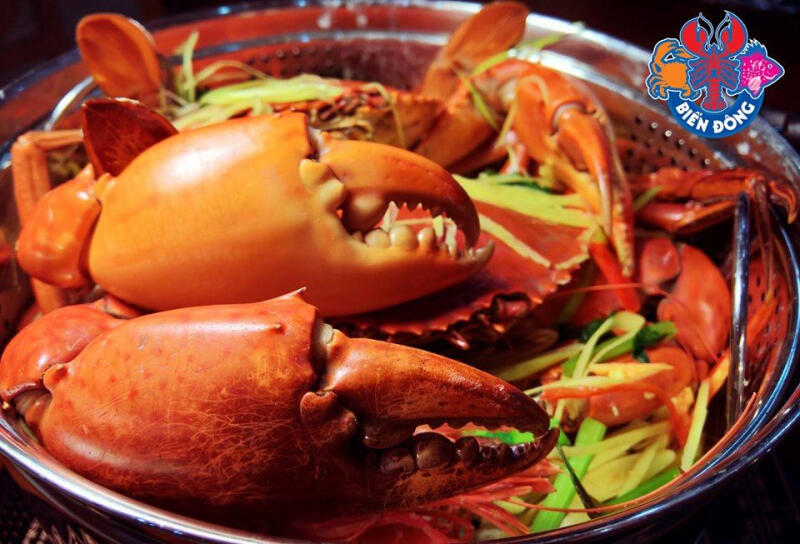 Hải Sản Biển Đông