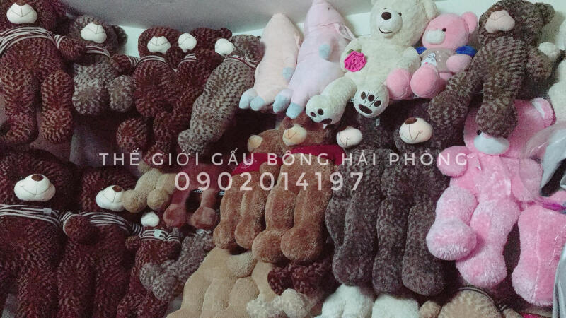 Thế Giới Gấu Bông