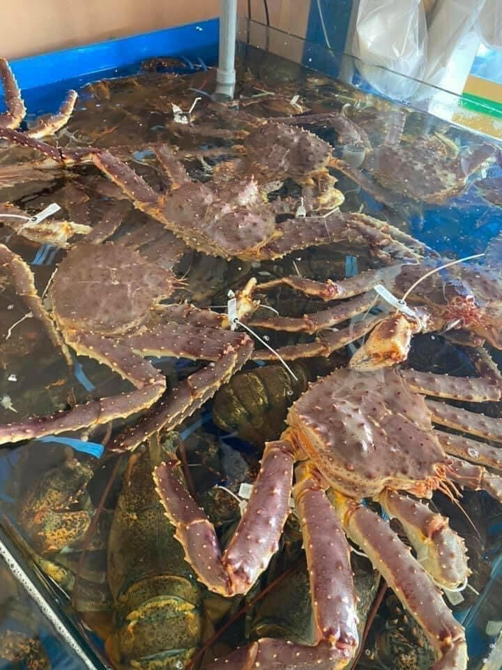 Hải sản biển Đông