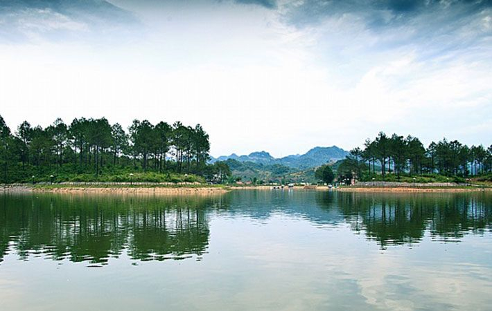 Rừng Thông, Bản Áng