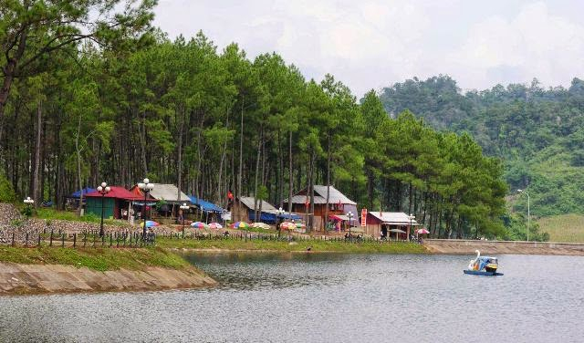 Rừng Thông, Bản Áng