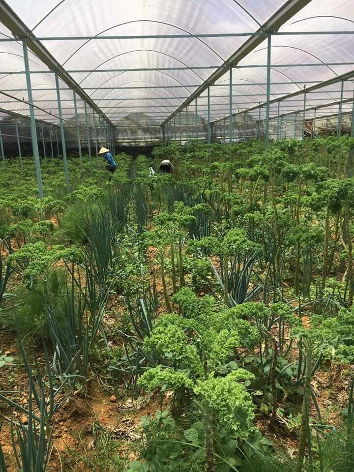 Thực Phẩm Sạch NongPro