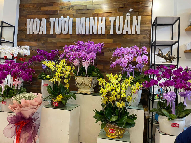 Shop Hoa Tươi Minh Tuấn