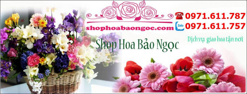 Shop Hoa Tươi Ở Bắc Giang - Bảo Ngọc