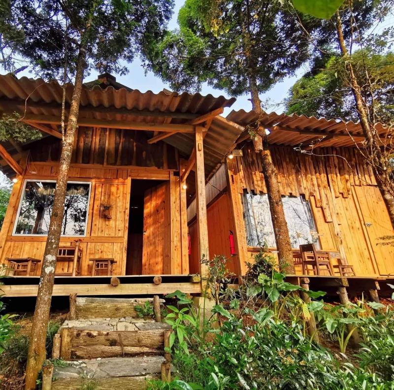 Sapa Jungle Homestay - Nhà Trên Đồi