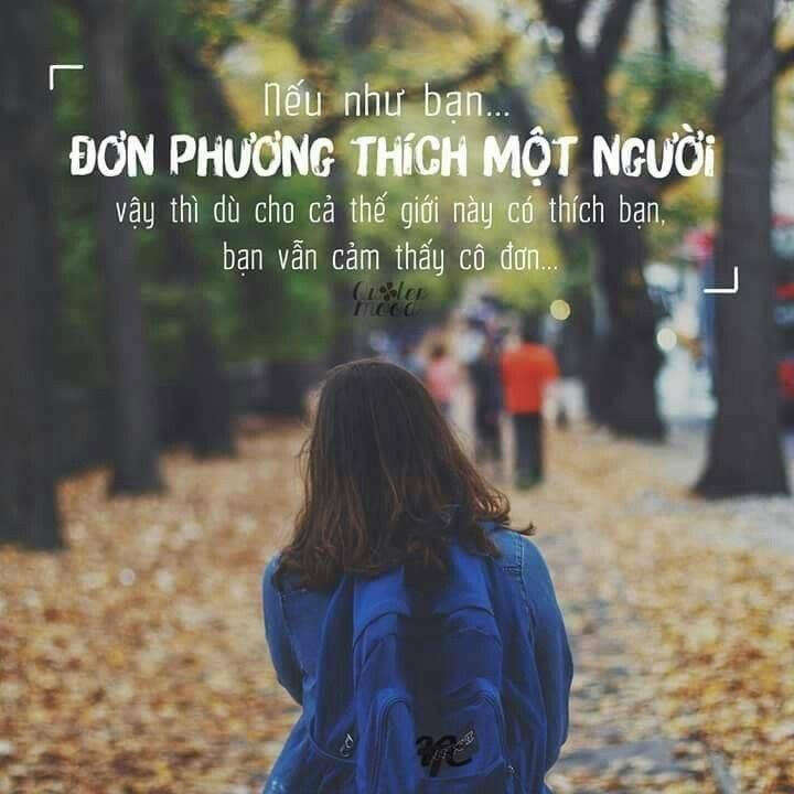 BÀI THƠ: TÌNH ĐƠN PHƯƠNG
