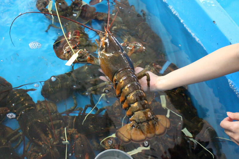 A Việt Seafood Restaurant
