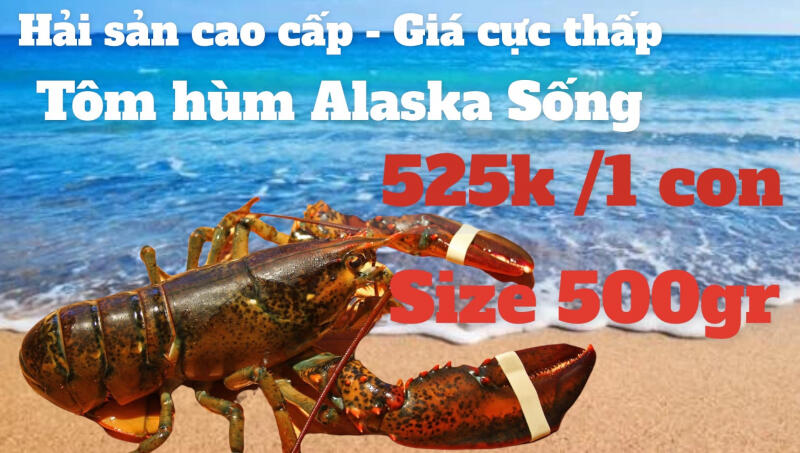 Hải sản King Crab Đà Nẵng Hồng Dương