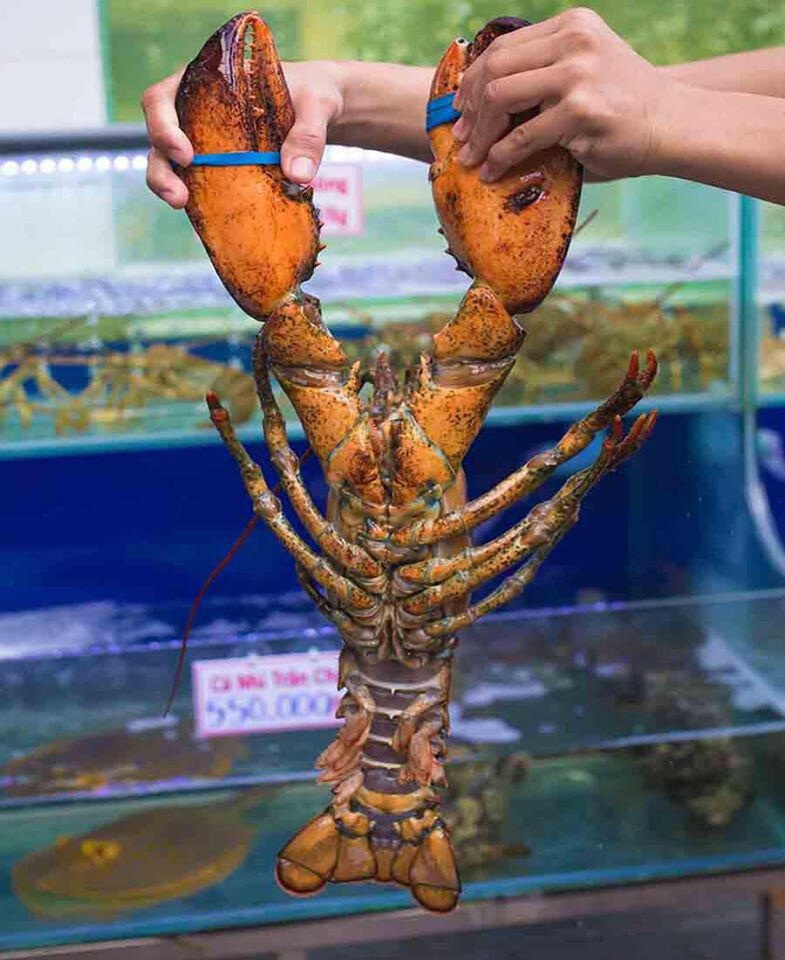 Nhà Hàng Hải Sản Biển Xanh