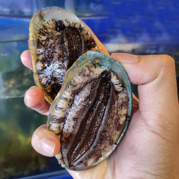 Chợ Hải Sản Phú Quốc