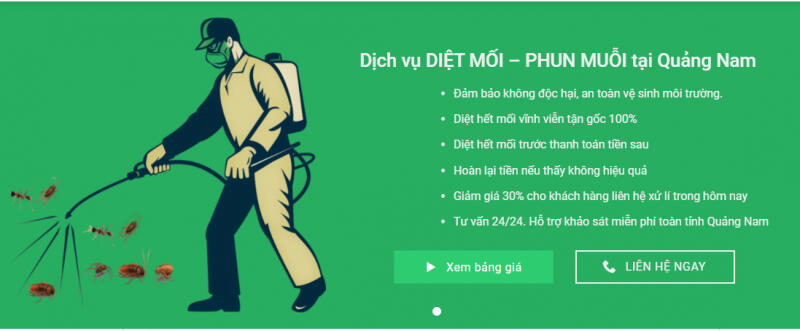 Công ty phòng chống côn trùng Quảng Nam