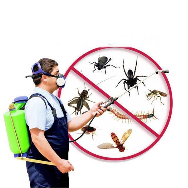Công ty TNHH trừ mối Đại Việt