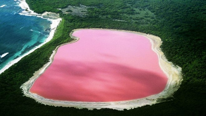 Hồ màu hồng – Australia