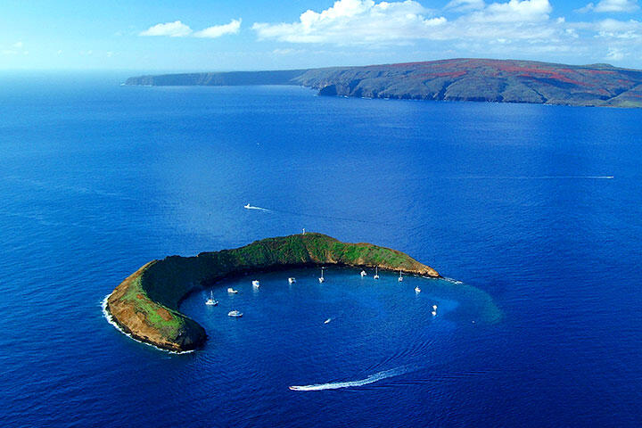 Đảo Maui